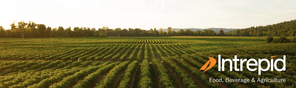 Creso Capital Partners elevates Brian Levin to Co-Head of its Food, Beverage & Agriculture practice and hires Gavin Daniels as Managing Director featured image