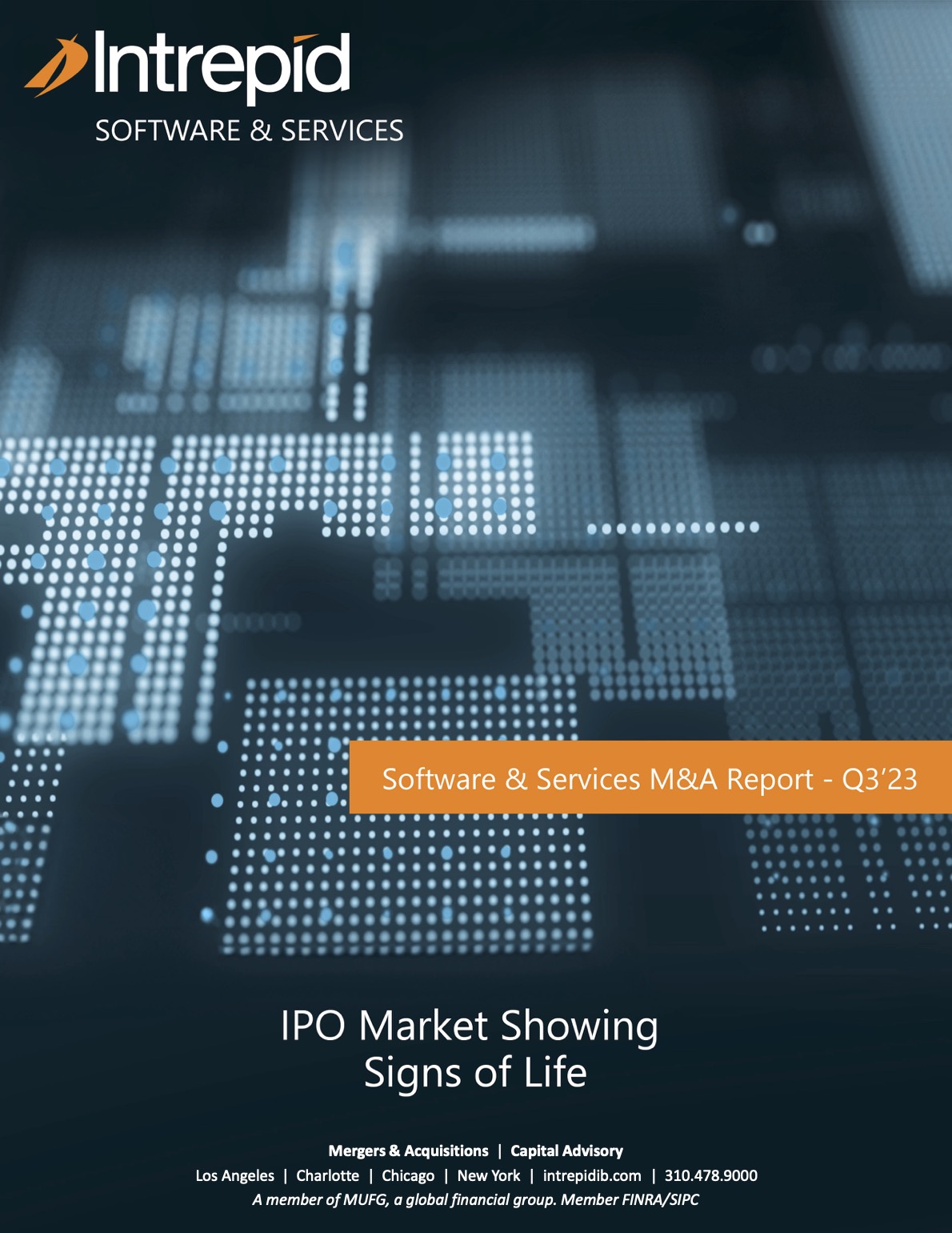 IIB Software And Services Newsletter Q3 2023 PDF cover