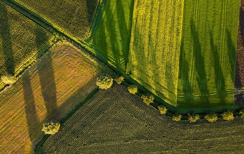 Creso Capital Partners Advises Better-for-You Protein Brand Mighty Spark on Its Sale to Swander Pace Capital featured image